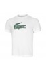T-Shirt Lacoste SPORT Blanc/Vert