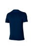 Mizuno Charge Shadow Graphic Tee