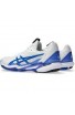 Asics Solution Speed FF 3