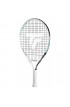 Tecnifibre T-Rebound 19