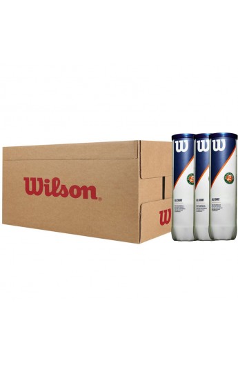 Balles Wilson Roland Garros All Court X4