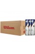 Balles Wilson Roland Garros All Court X4