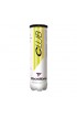 Tube de 4 Balles Tecnifibre Club