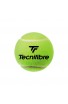 Carton de 36 Tubes de 4 Balles Tecnifibre Club
