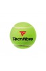 Carton de 35 Tubes de 4 Balles Tecnifibre X-One