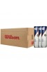 Carton de Balles Wilson Roland Garros All Court X4